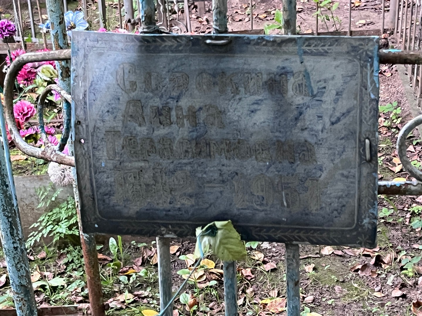 Сорокина