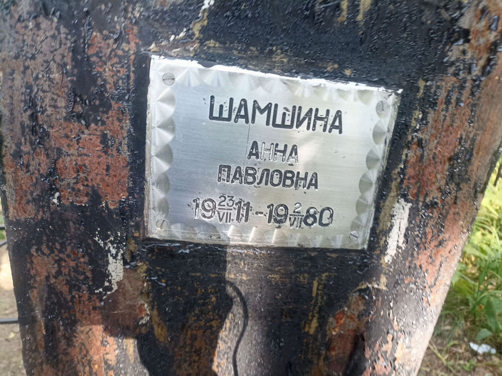 Шамшина Анна Павловна