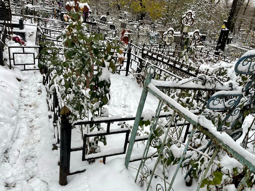 Малышев Дмитрий Евгеньевич