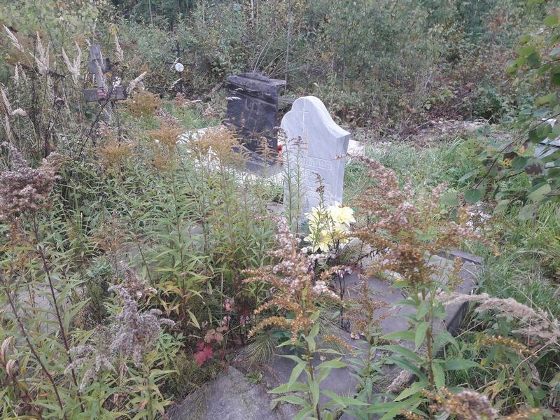 Абрамова Лилия Александровна