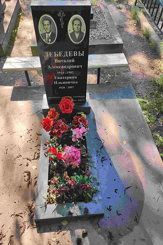 Лебедев Виталий Александрович