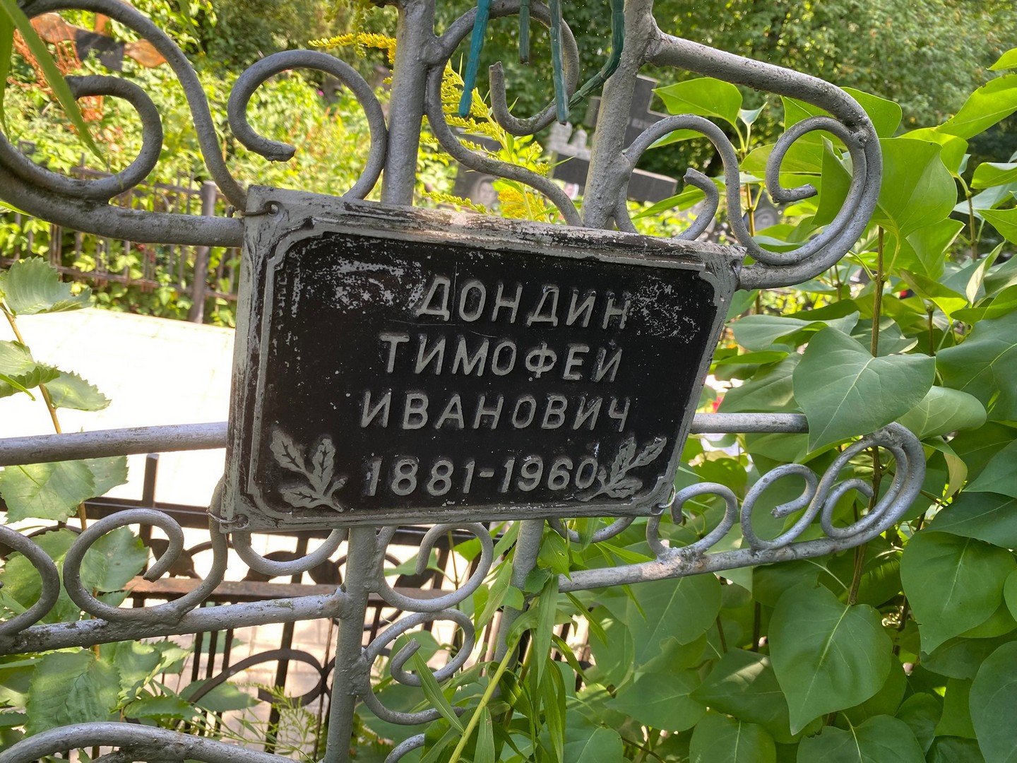 Дондин Тимофей Иванович
