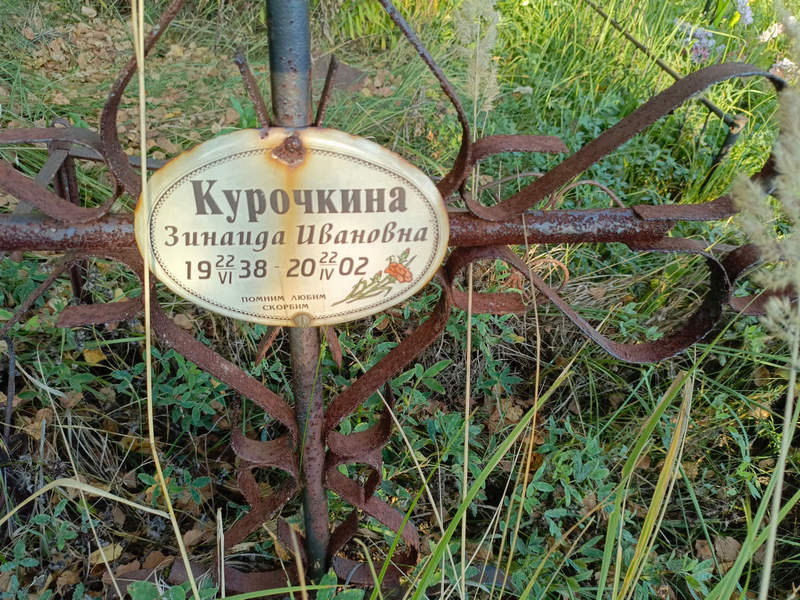 Курочкина