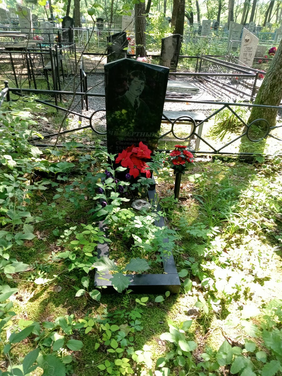 Четвертных Анатолий Степанович
