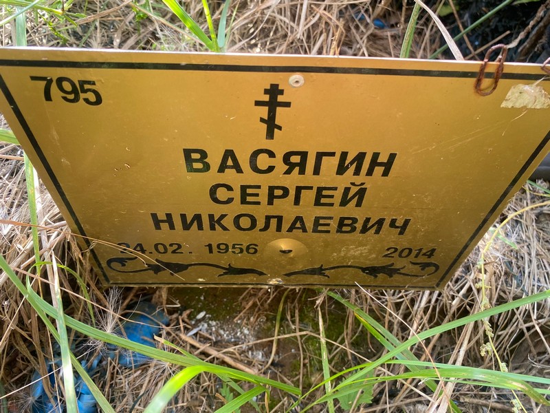 Васягин