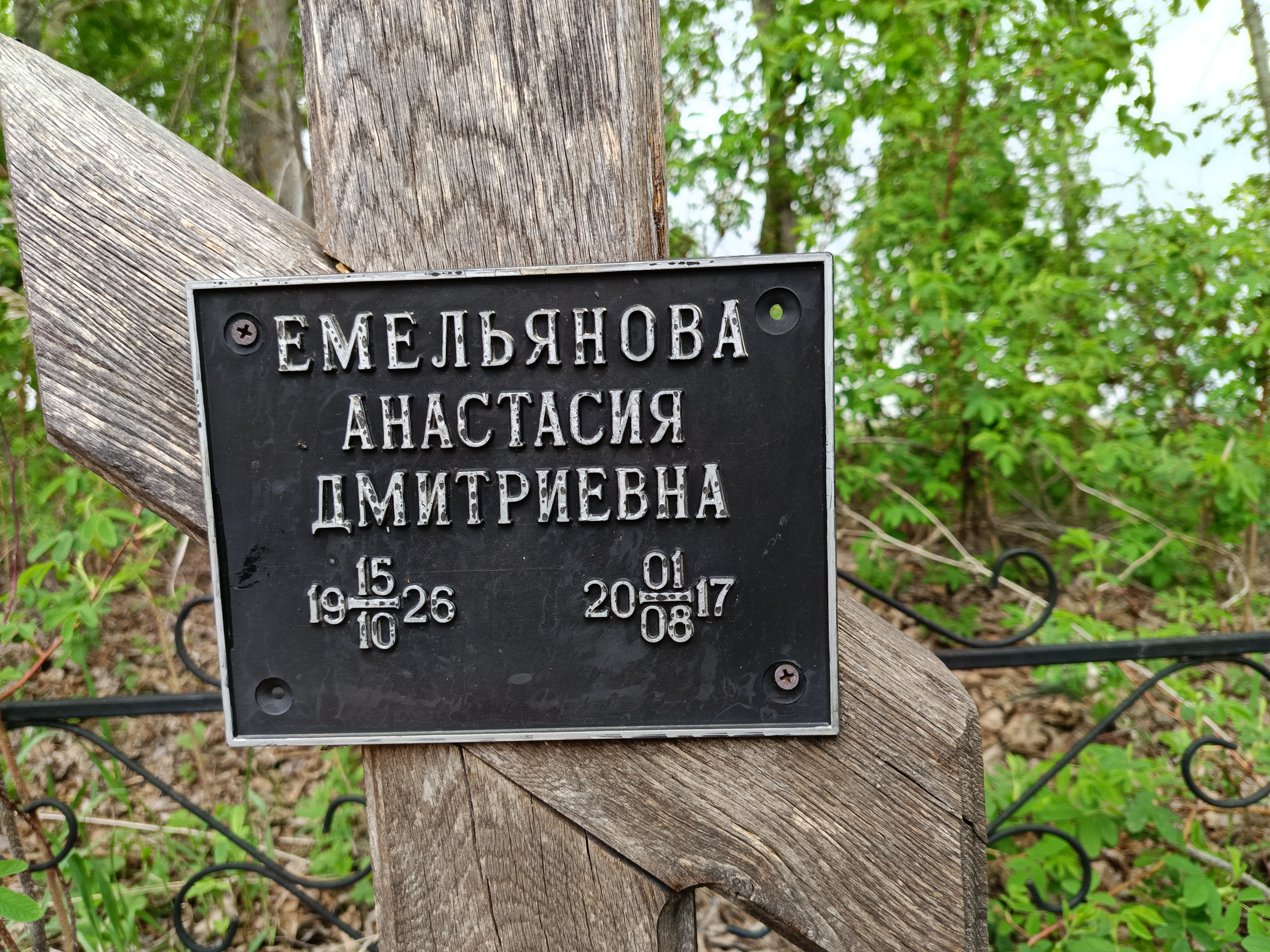 Емельянова Анастасия Дмитриевна