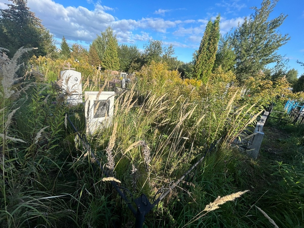 Романцова Пелагея Дмитриевна