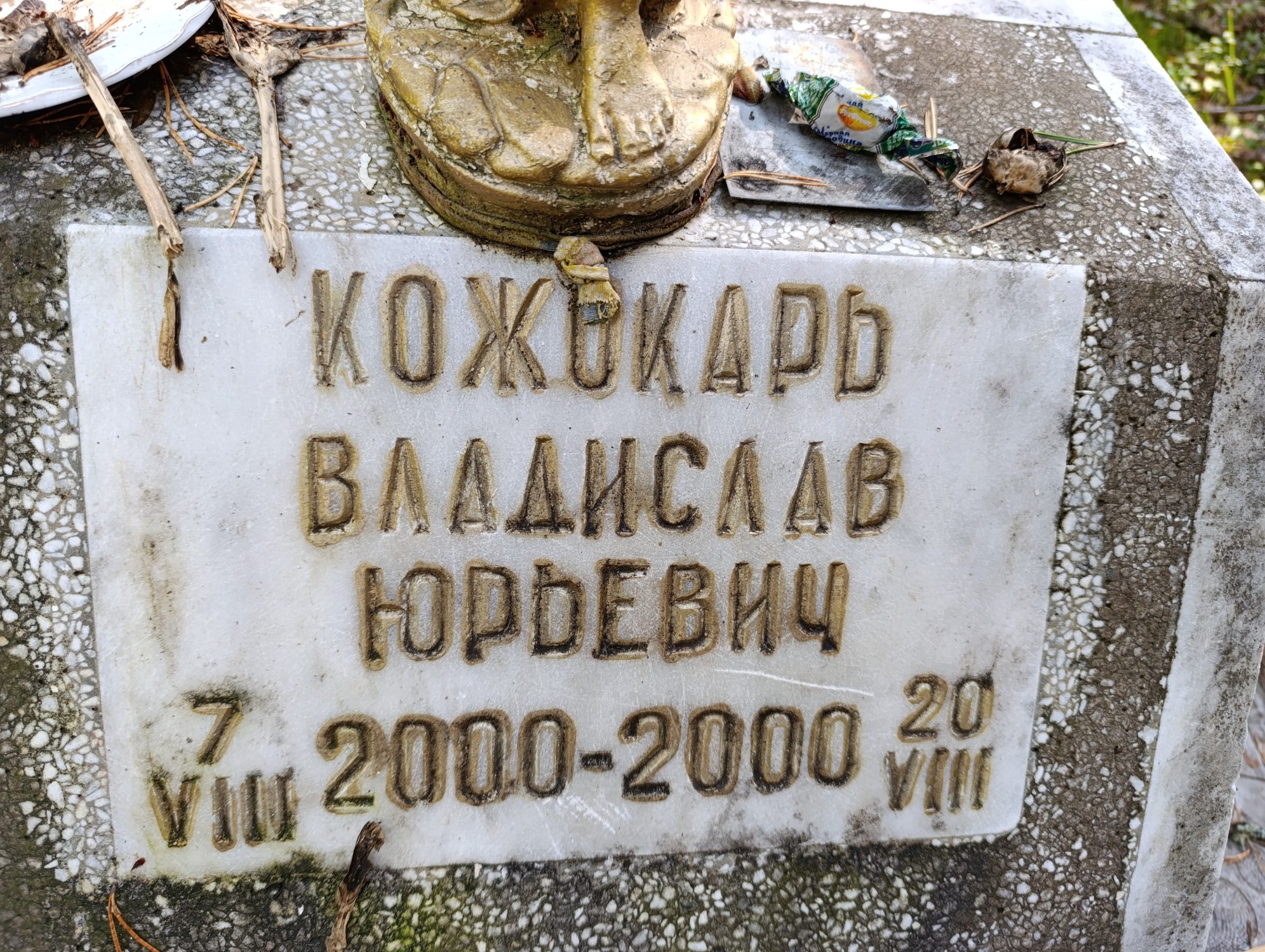Кожокарь Владислав Юрьевич