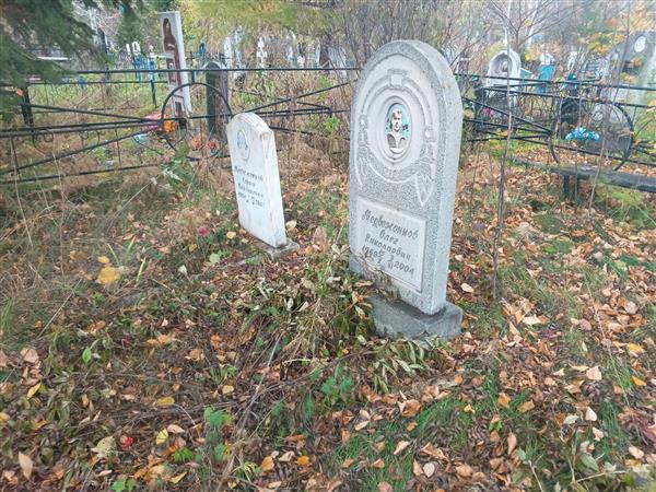 Медвежонков Олег Николаевич