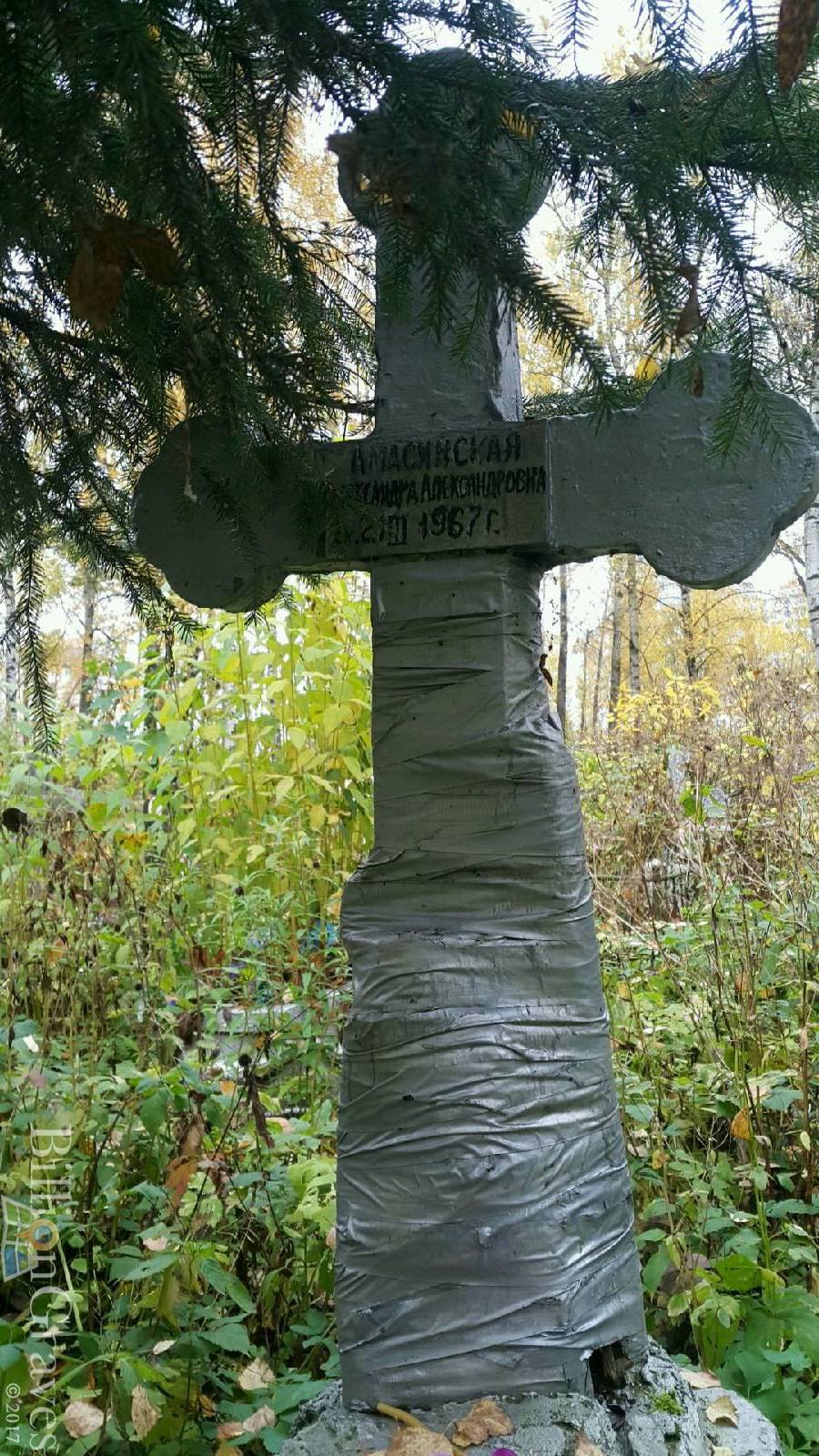Амасинская Александра Александровна