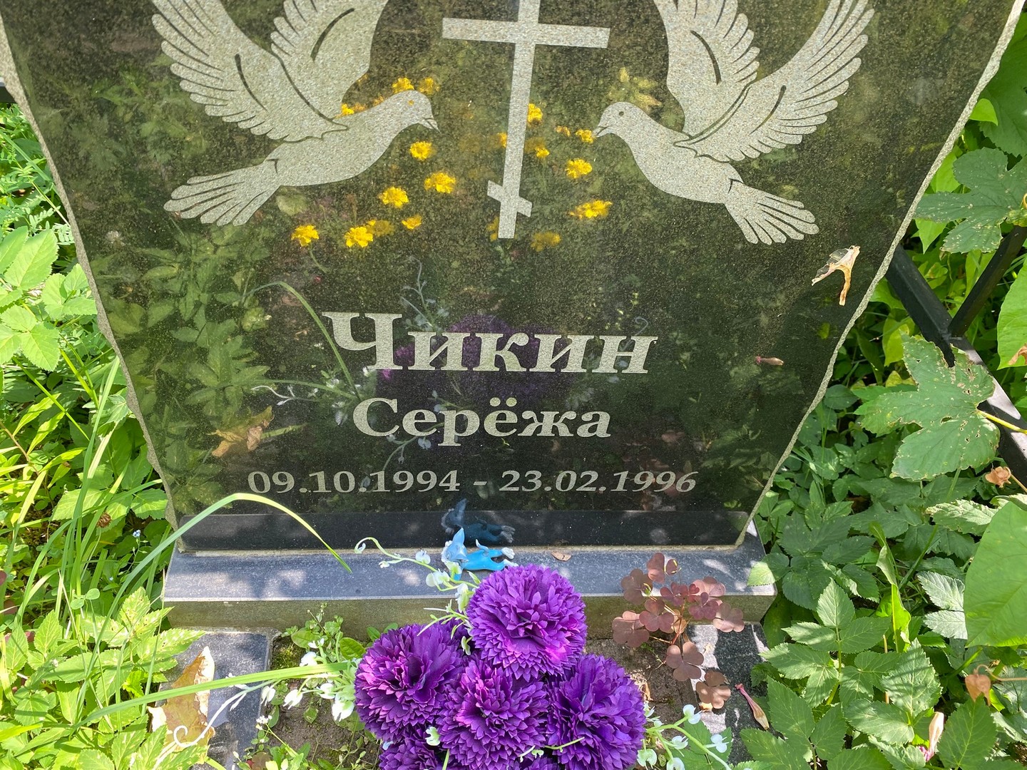 Чикин Чикин