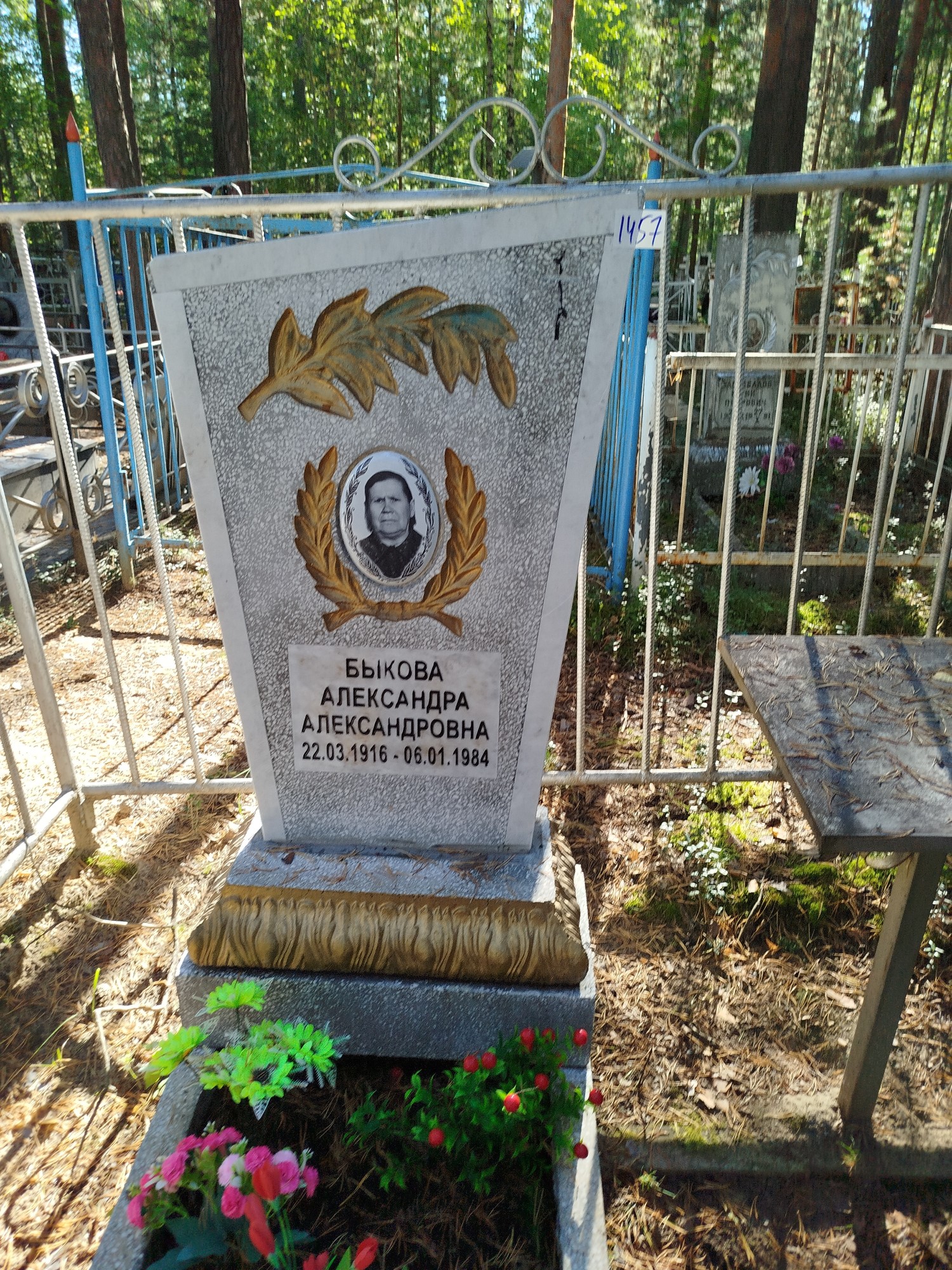 Быкова Александра Александровна