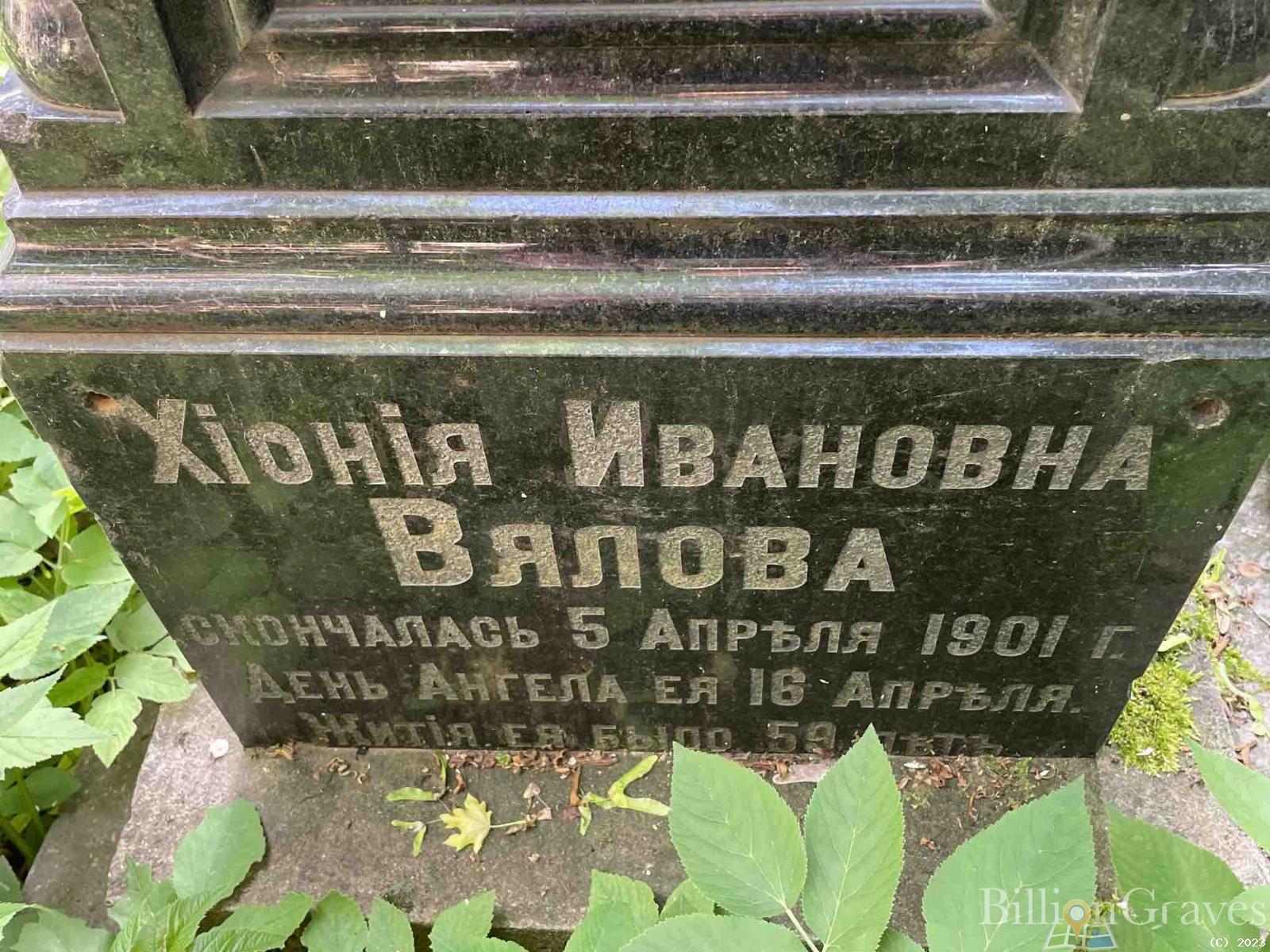 Вялов Андрей Дмитриевич