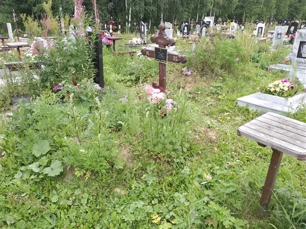Абаштамова Софья