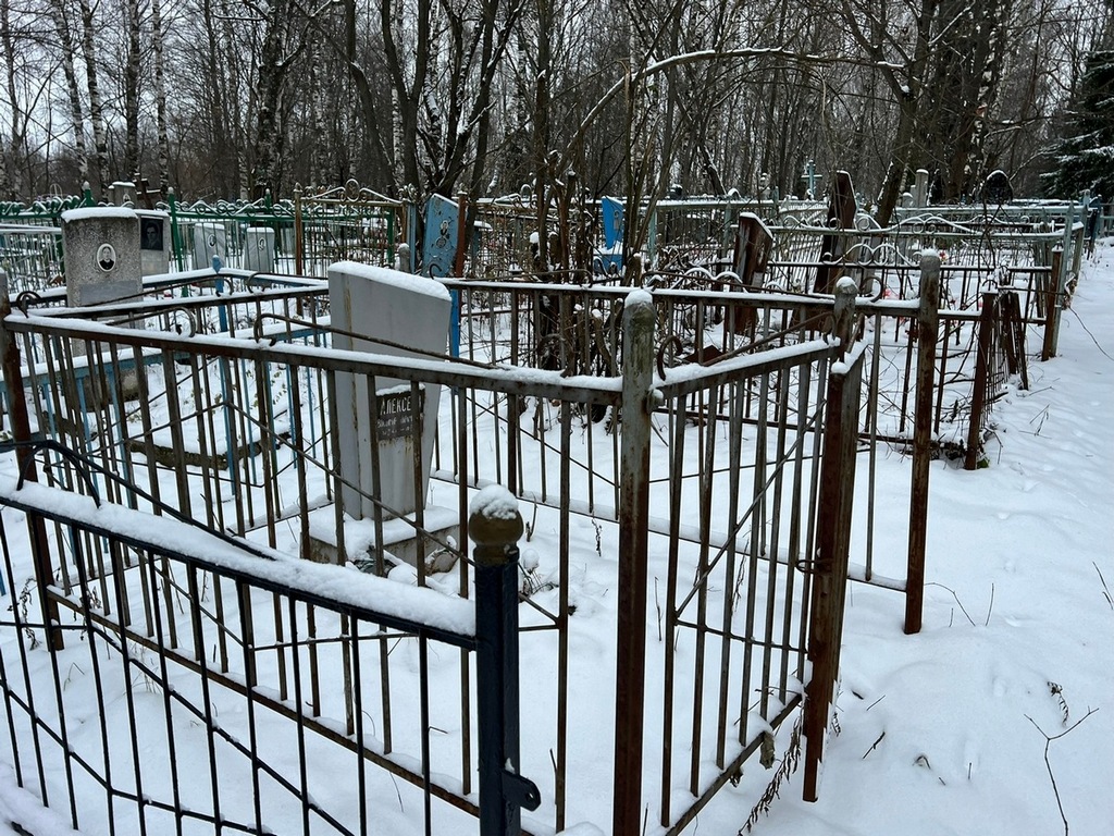 Алексеев Владимир Парамонович