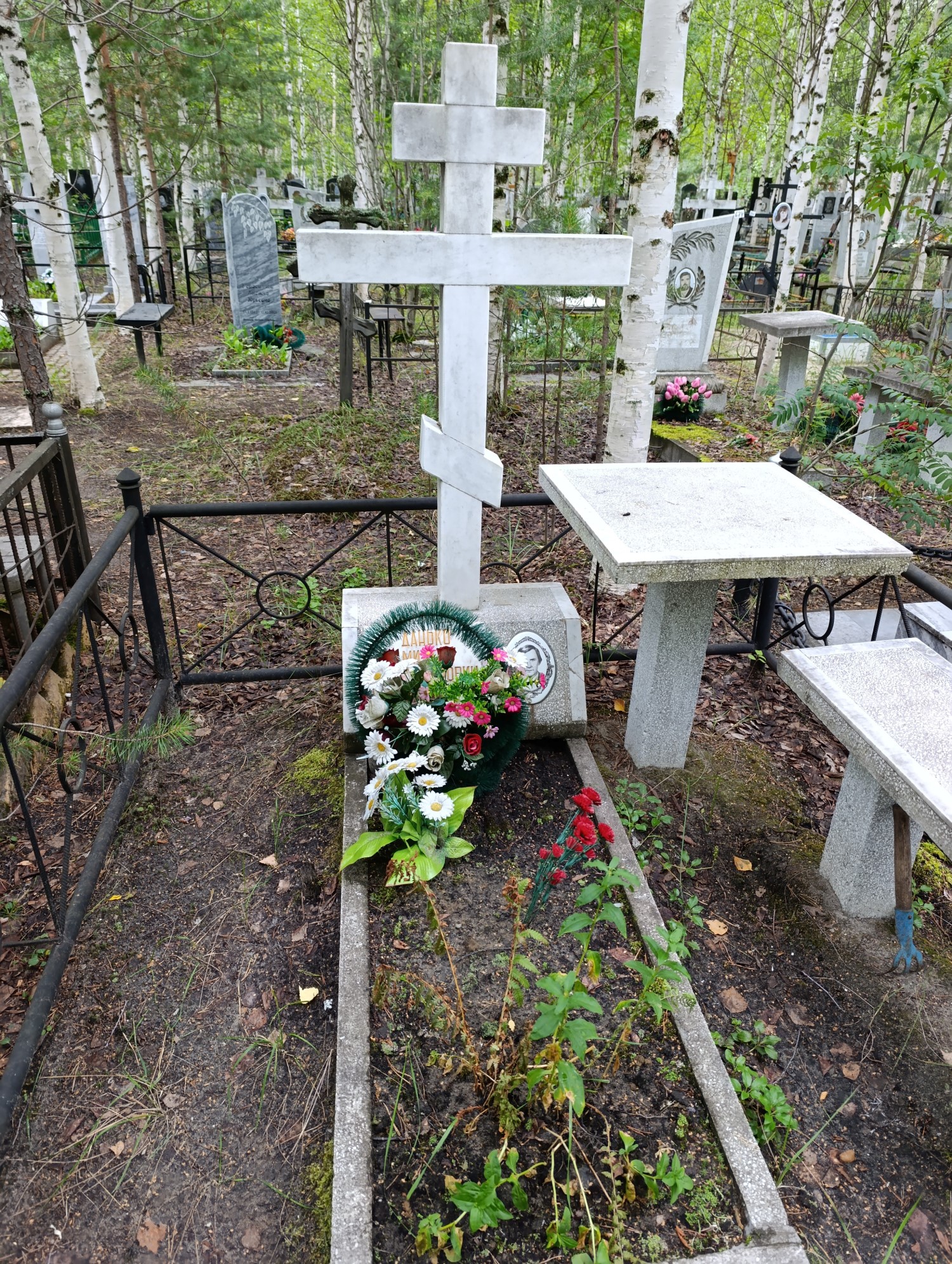 Данько Михаил Владимирович