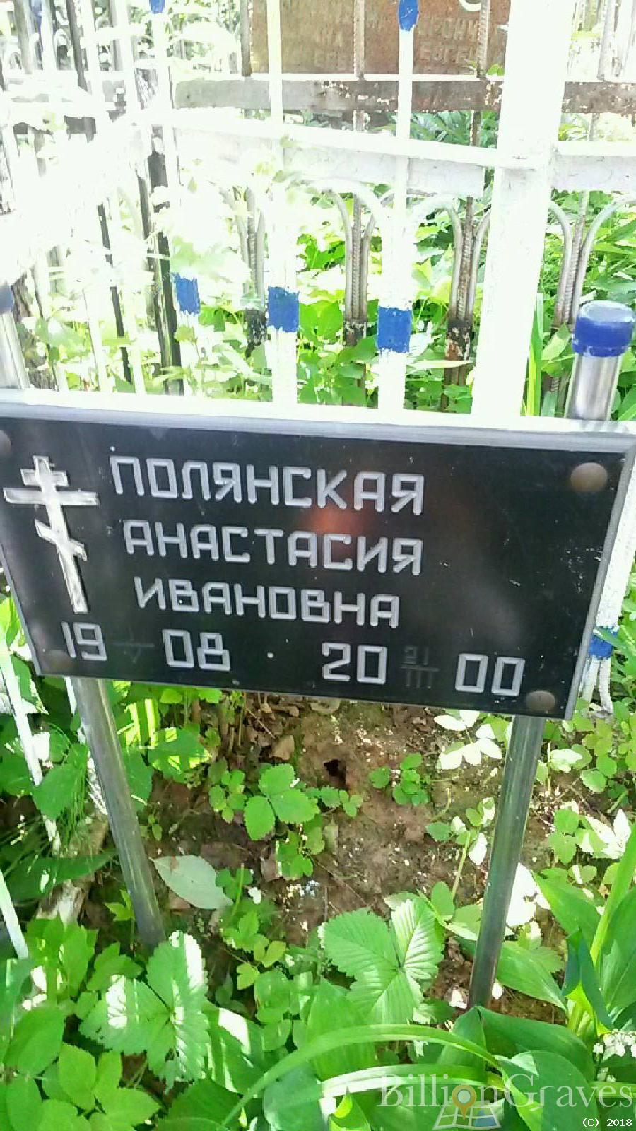 левашов павел николаевич