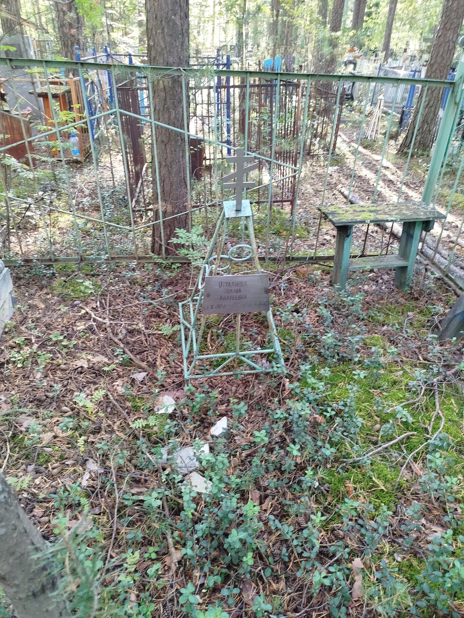 Отраднова Полина Андреевна