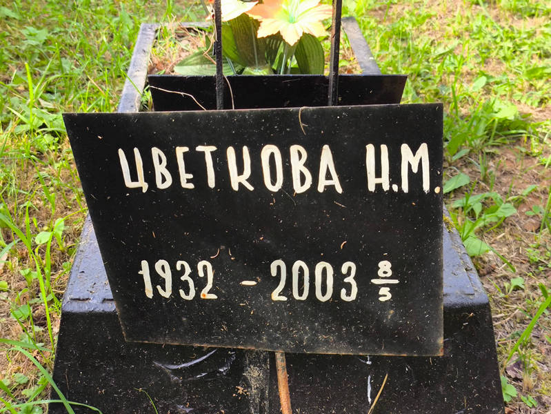 Н Цветкова М