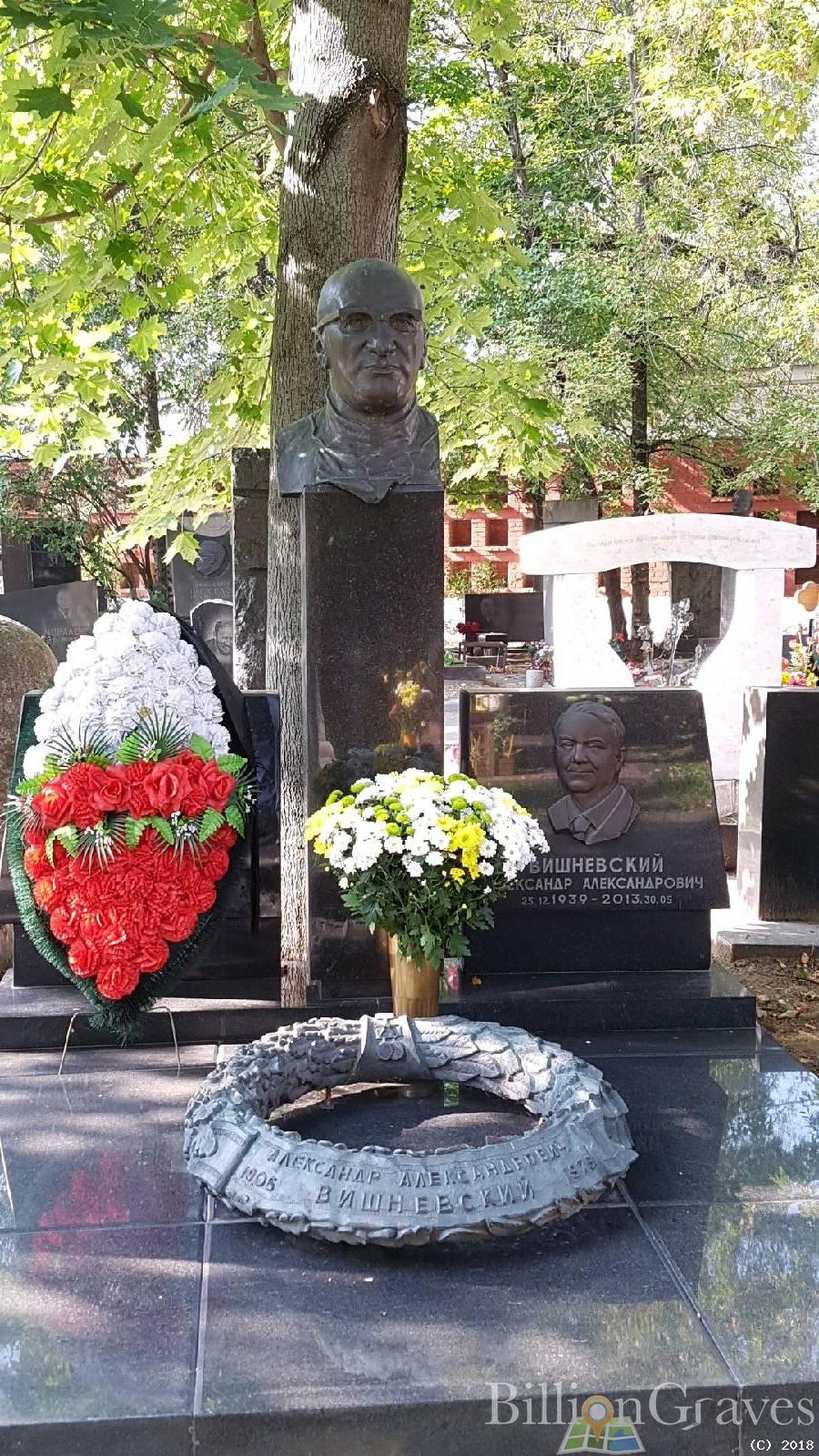 Вишневский Александр Александрович