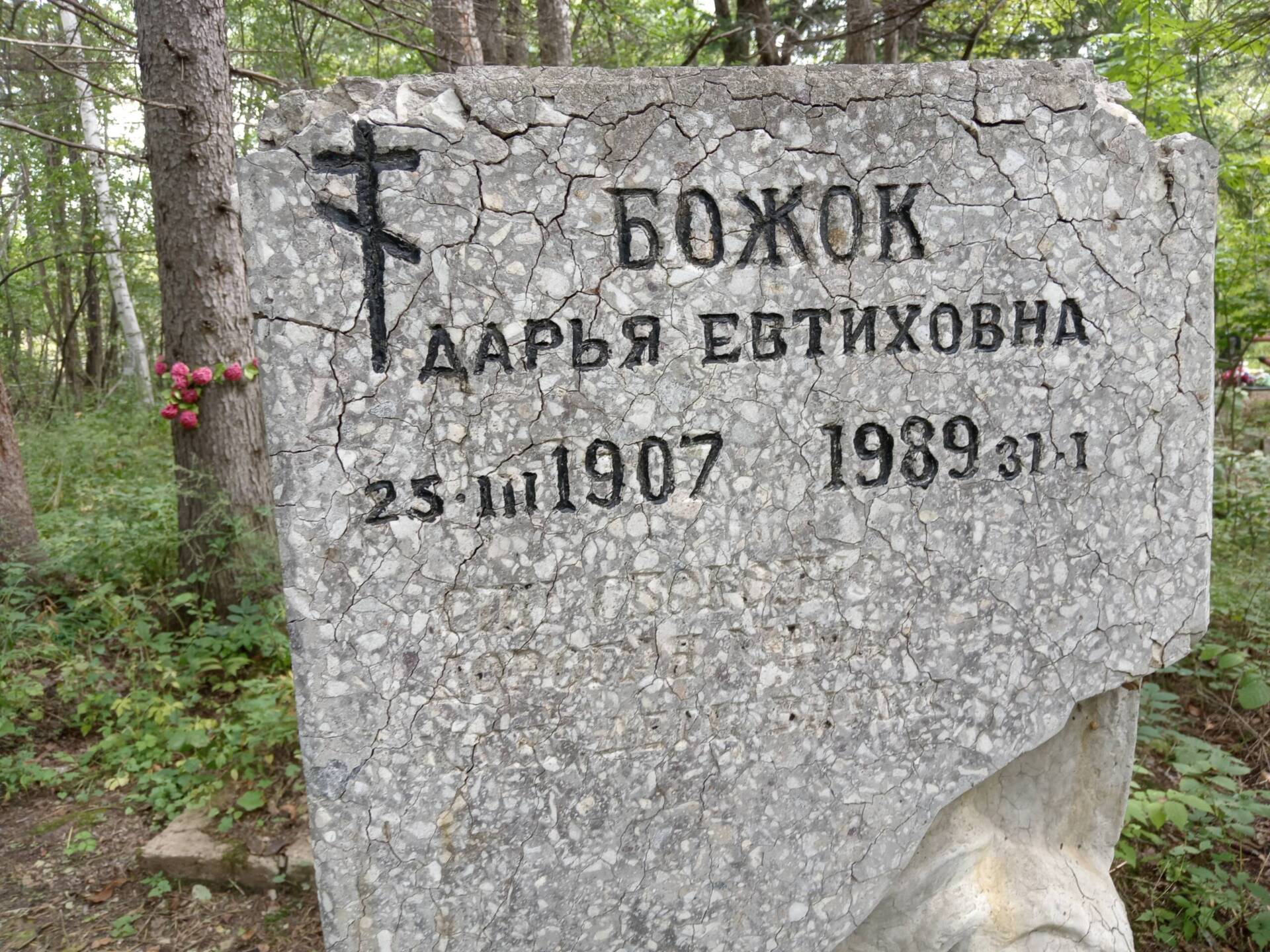 Божок Дарья Евтиховна