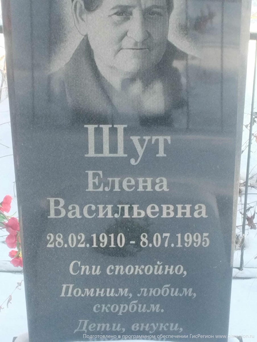 Шут Елена Васильевна