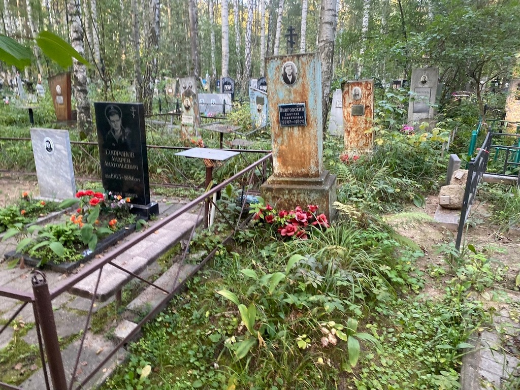 Вьюговский Дмитрий Поликарпович