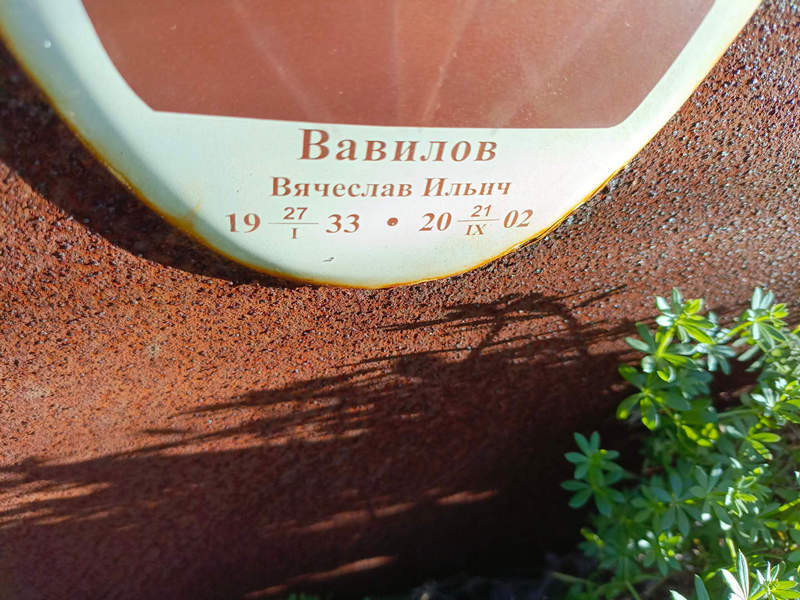 Вавилов