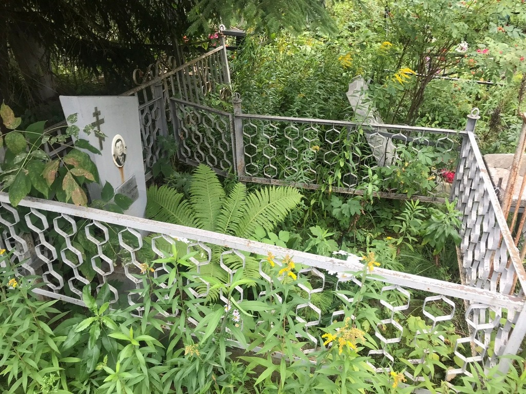Романов Юрий Дмитриевич