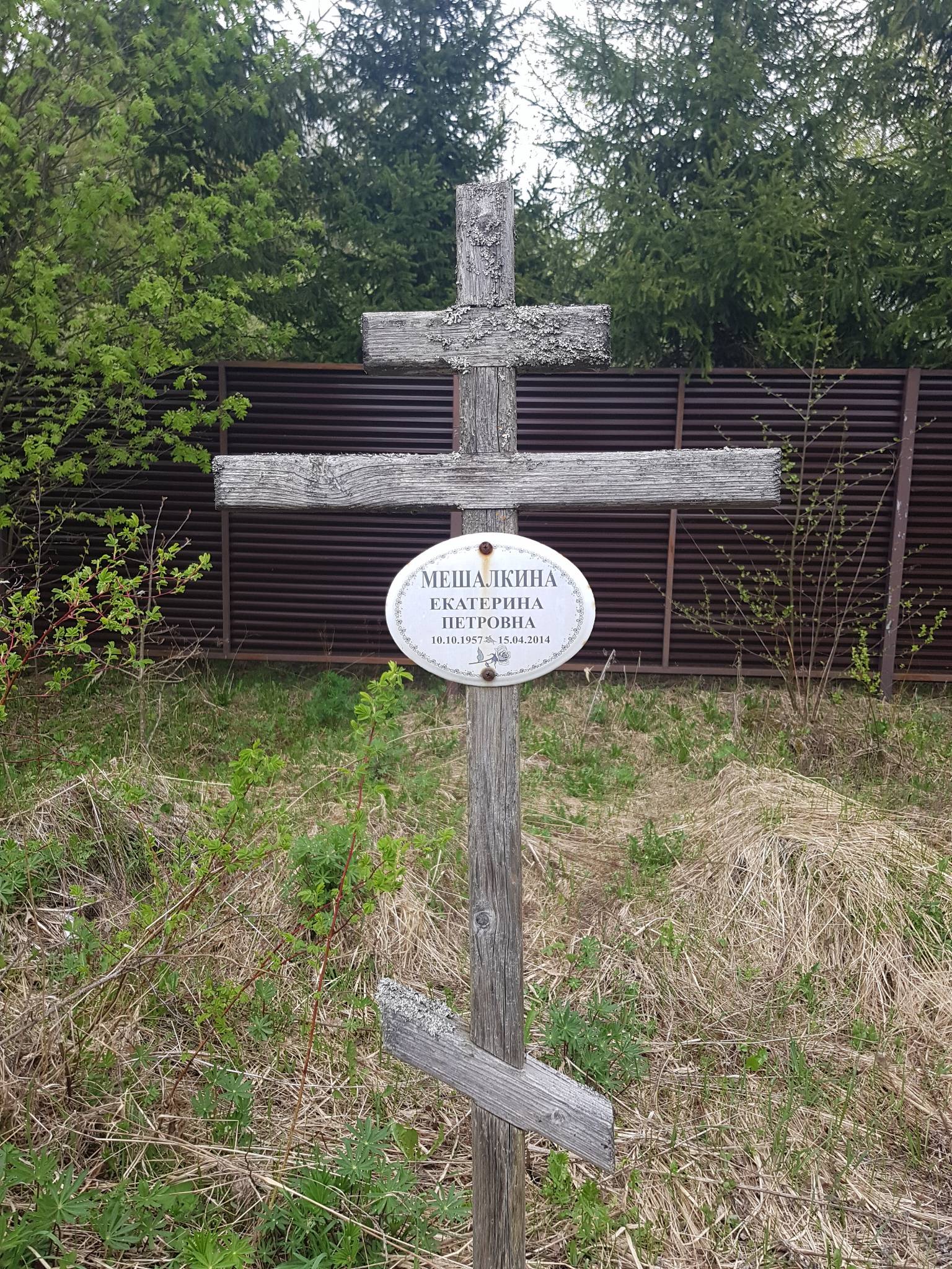 Мешалкина Екатерина Петровна