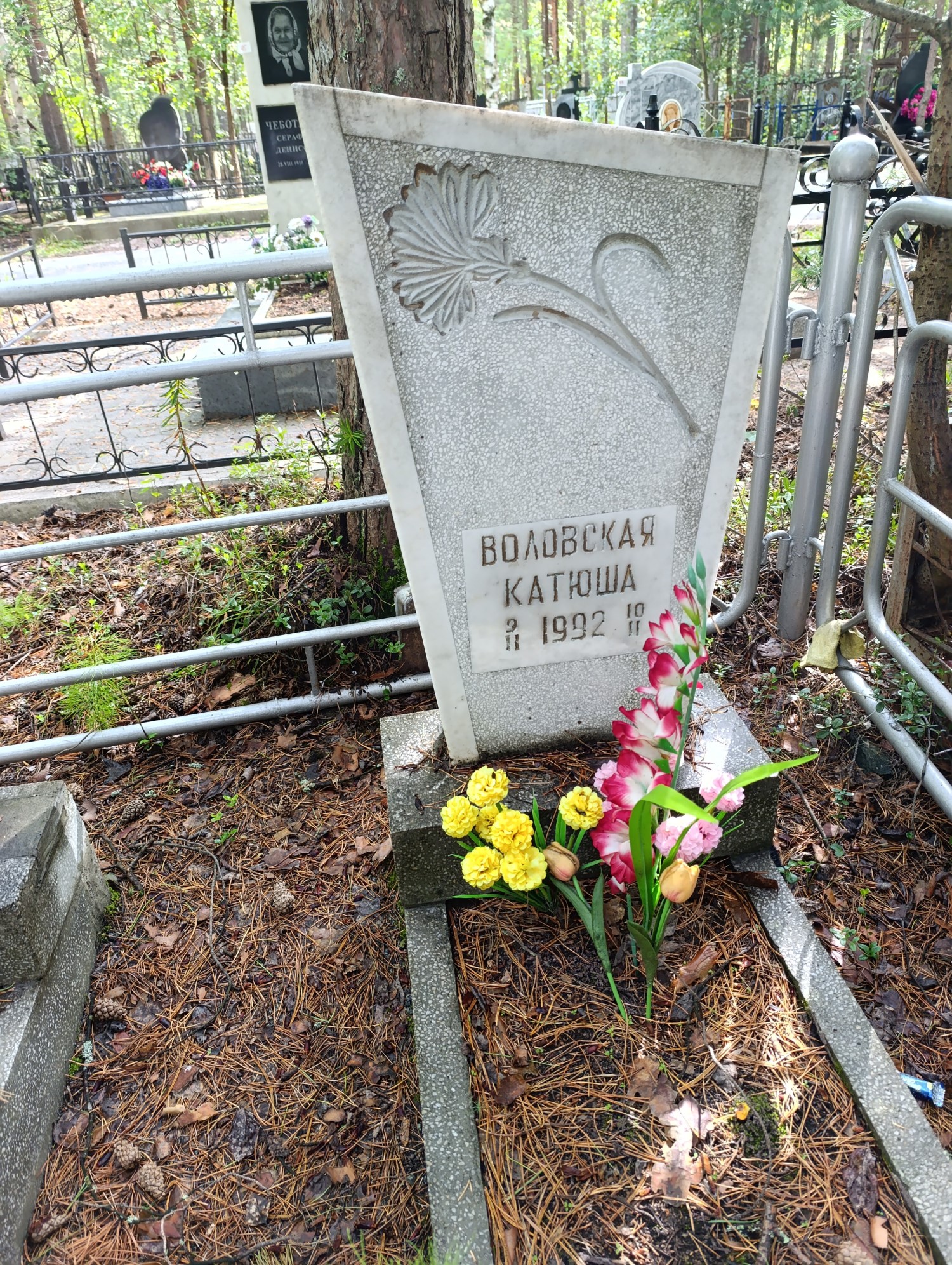 Воловская Екатерина