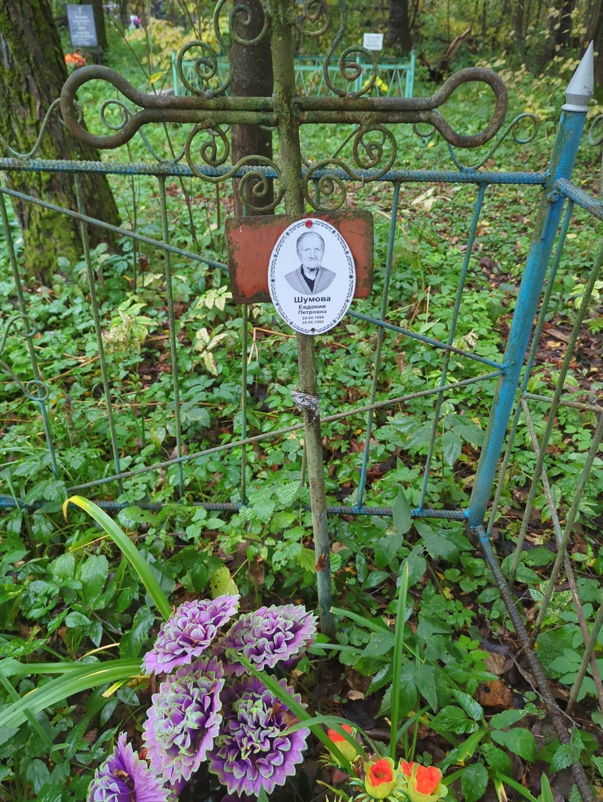 Шумова Евдокия Петровна
