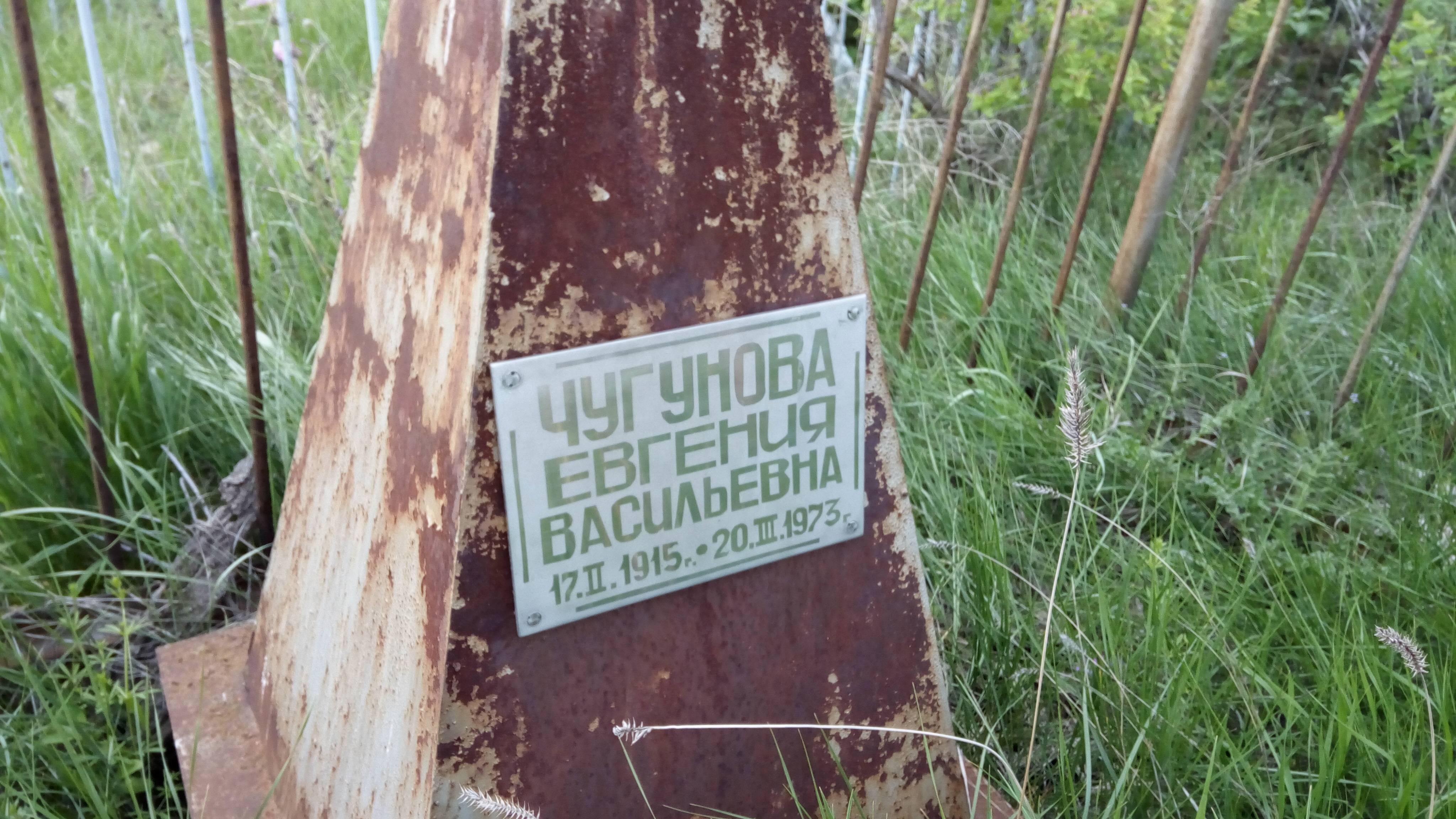 Чугунова Евгения Васильевна