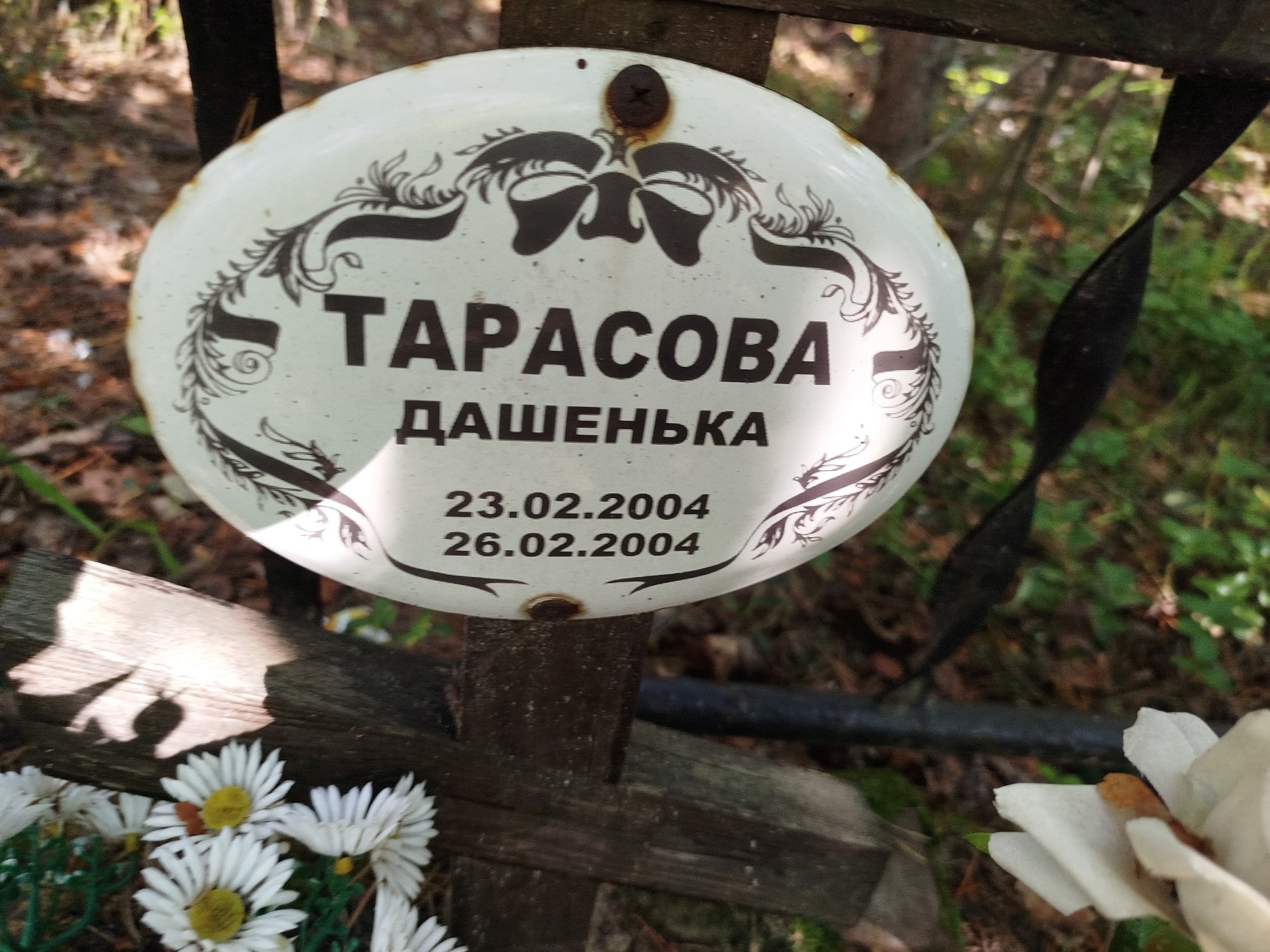 Тарасова Дашенька