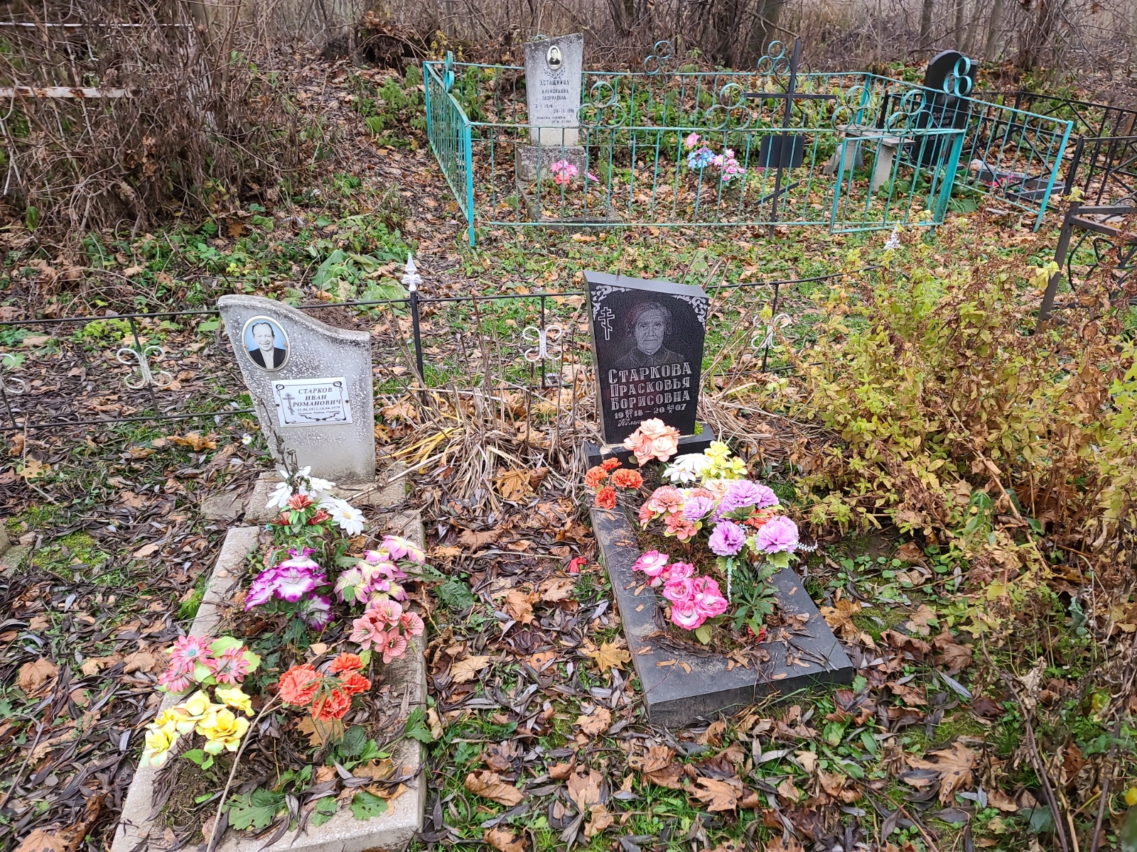 Старкова Прасковья Борисовна