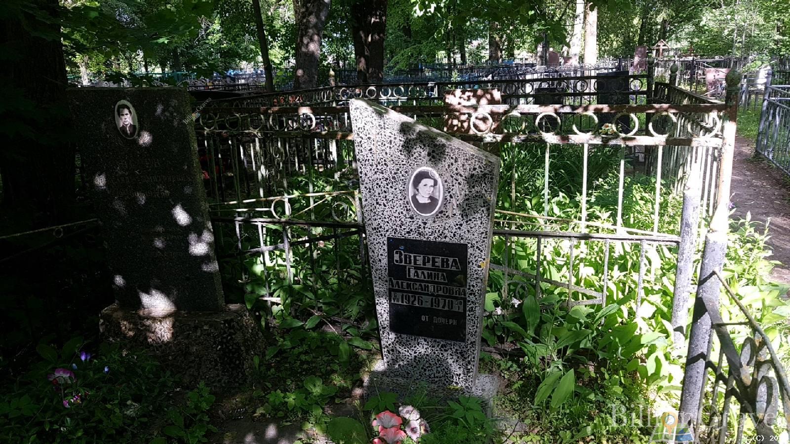 зверева галина александровна