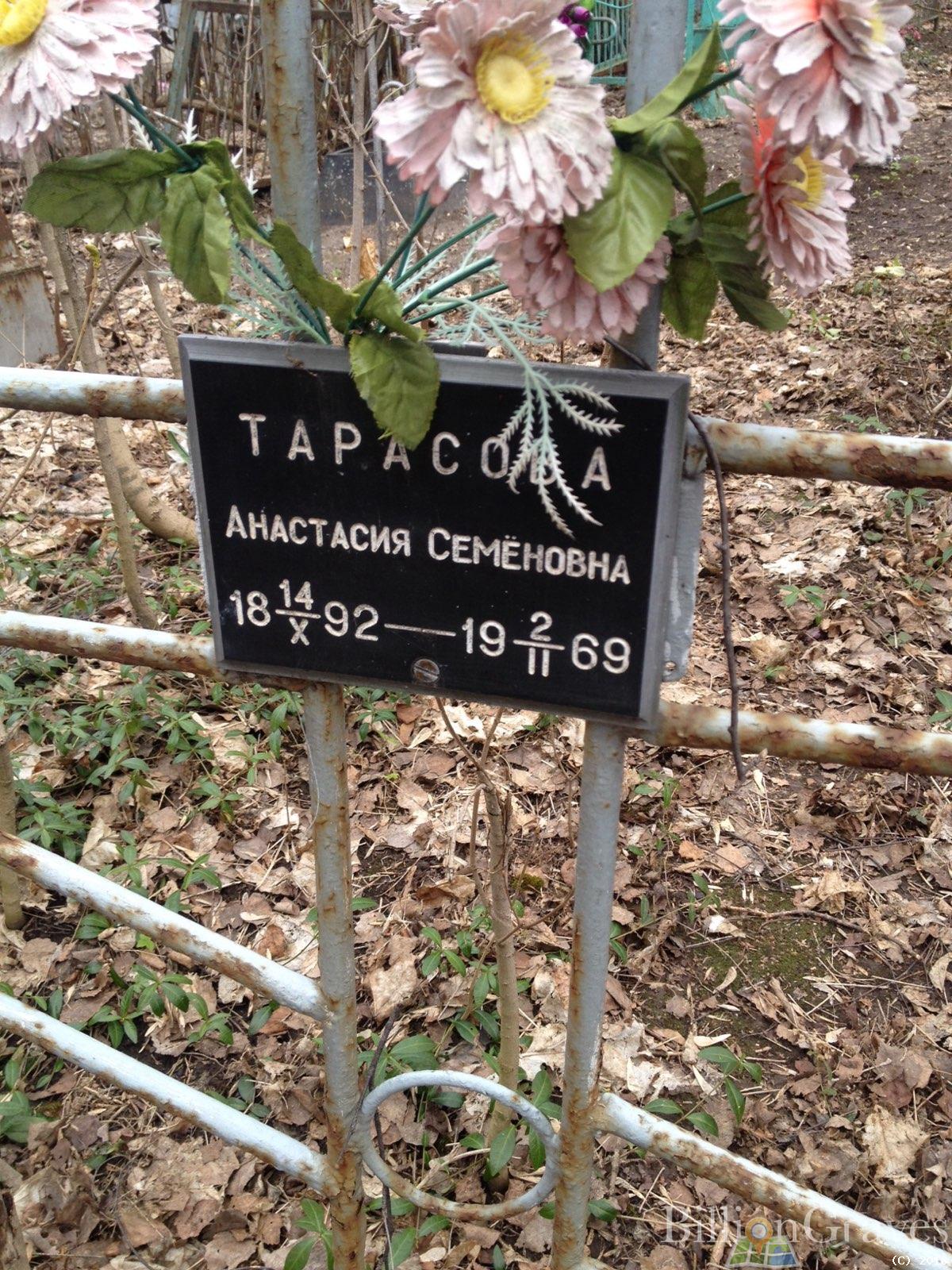 Тарасова Анастасия Семёновна