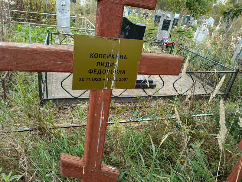Копейкина