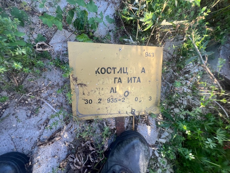 Костицына