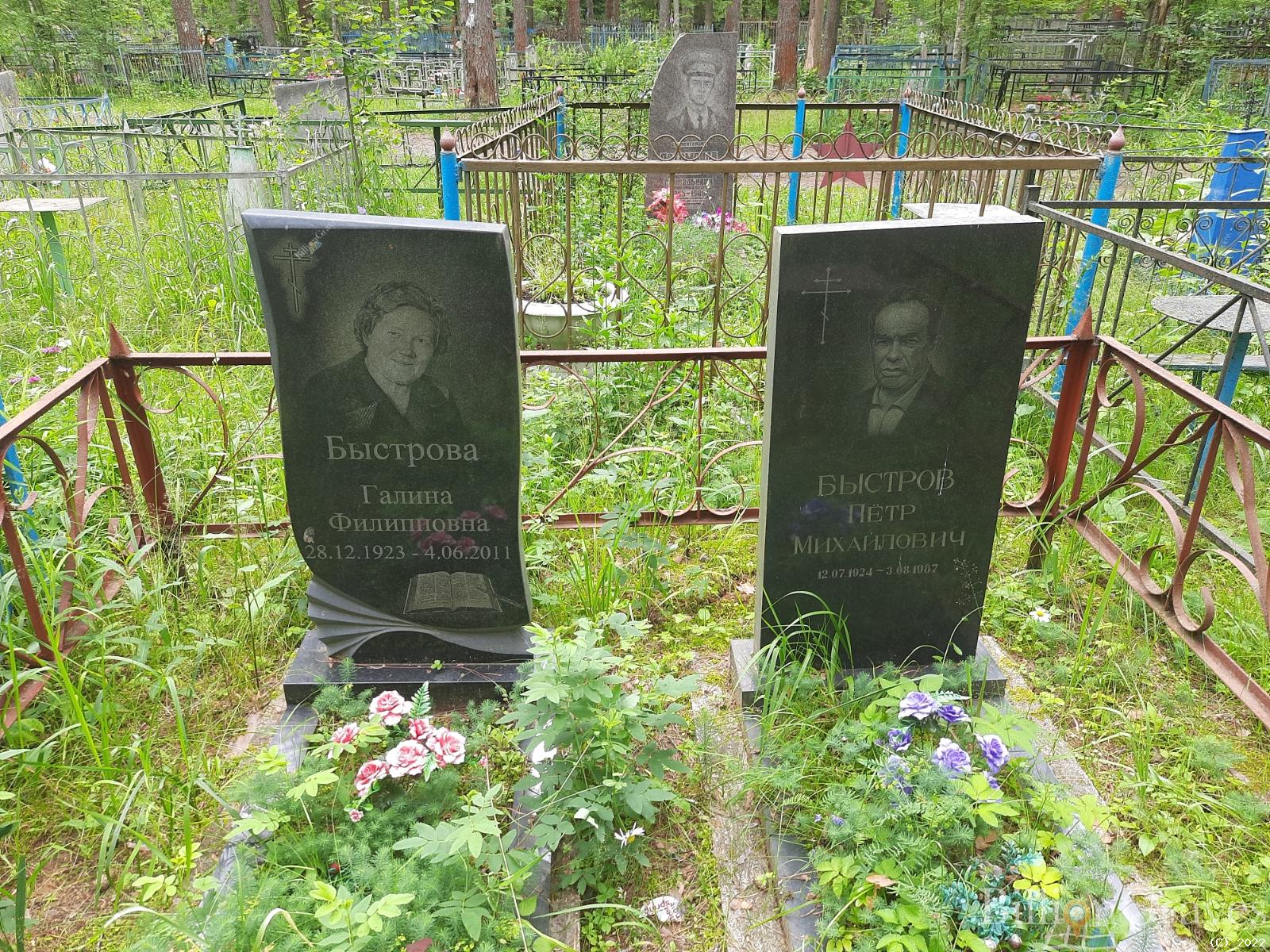 Быстров Пётр Михайлович