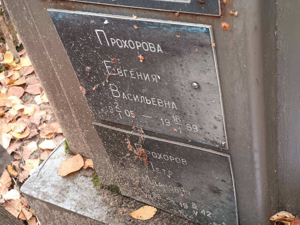 Прохорова Евгения Васильевна