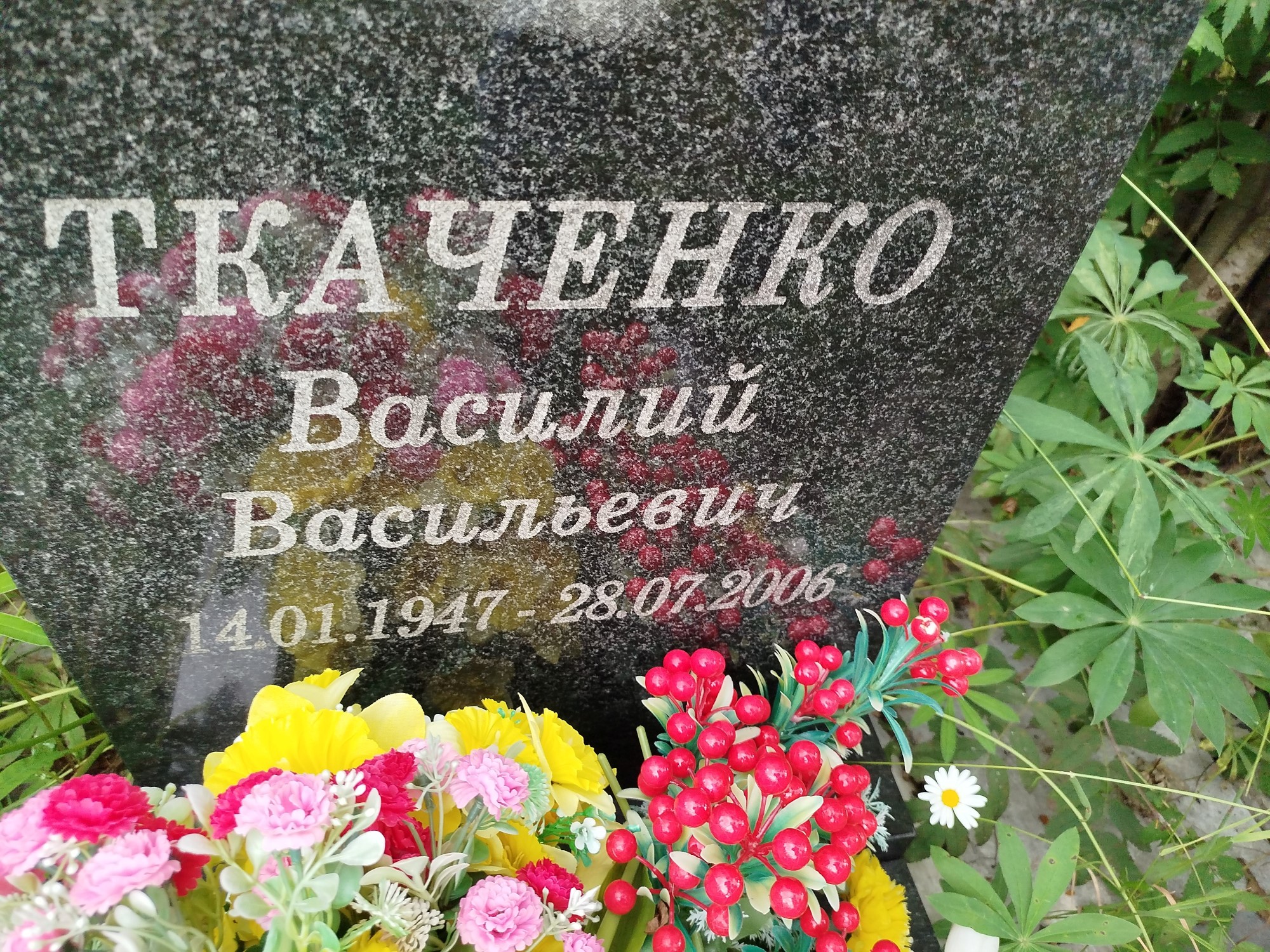 Ткаченко Василий Васильевич