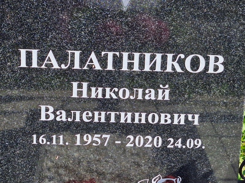 Палатников