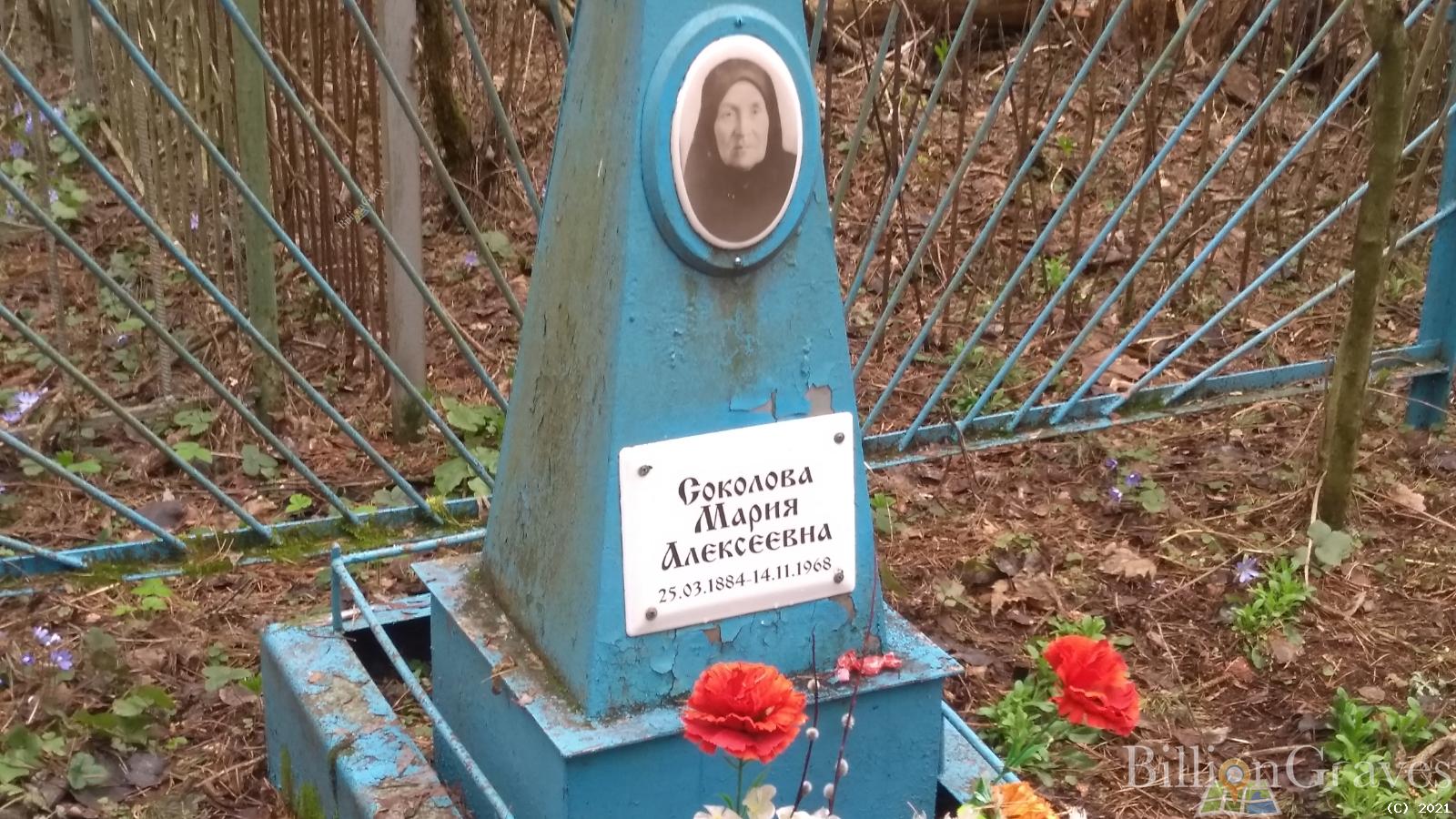 Соколова Мария Алексеевна