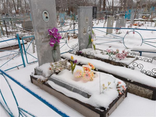 Асманкин Александр Викторович