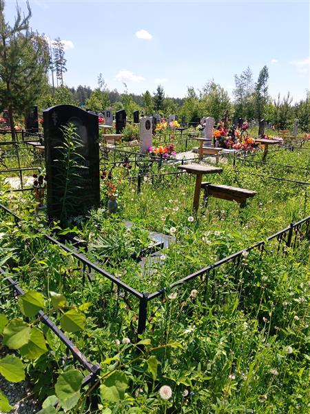 Глебов Дмитрий Сергеевич