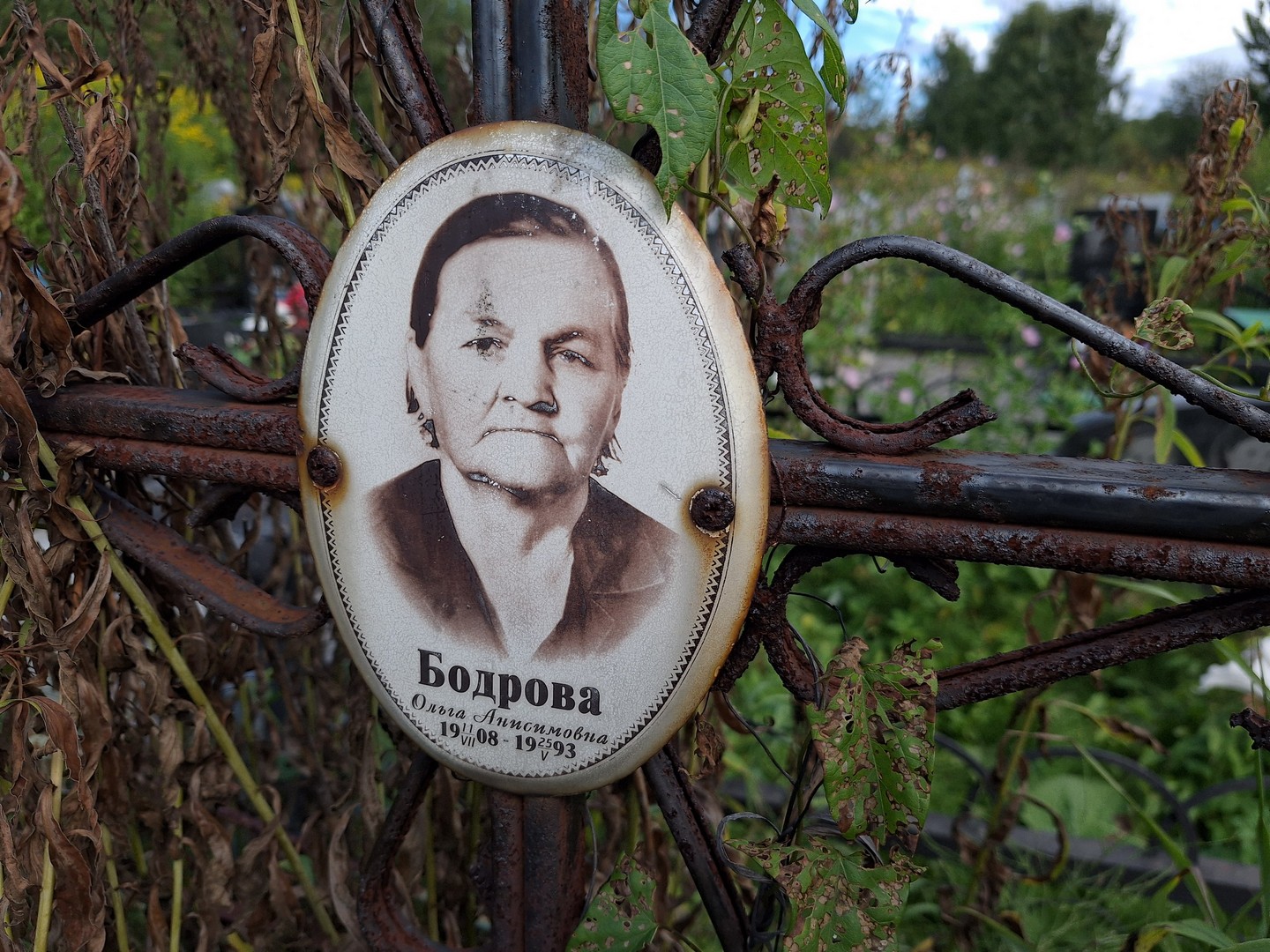 Бодрова