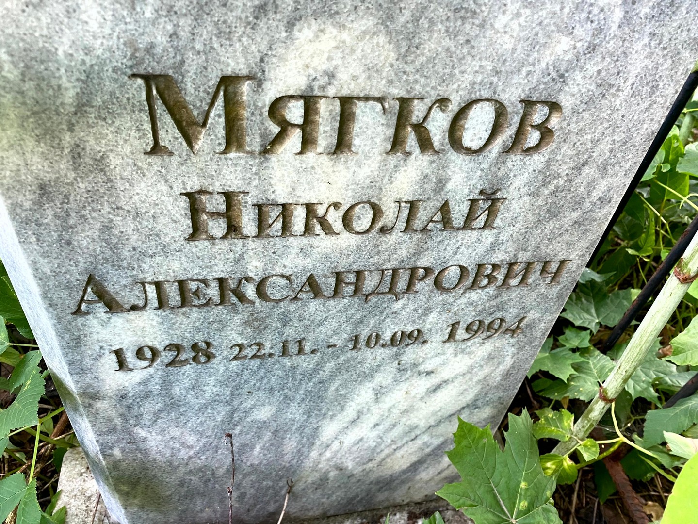 Мягков