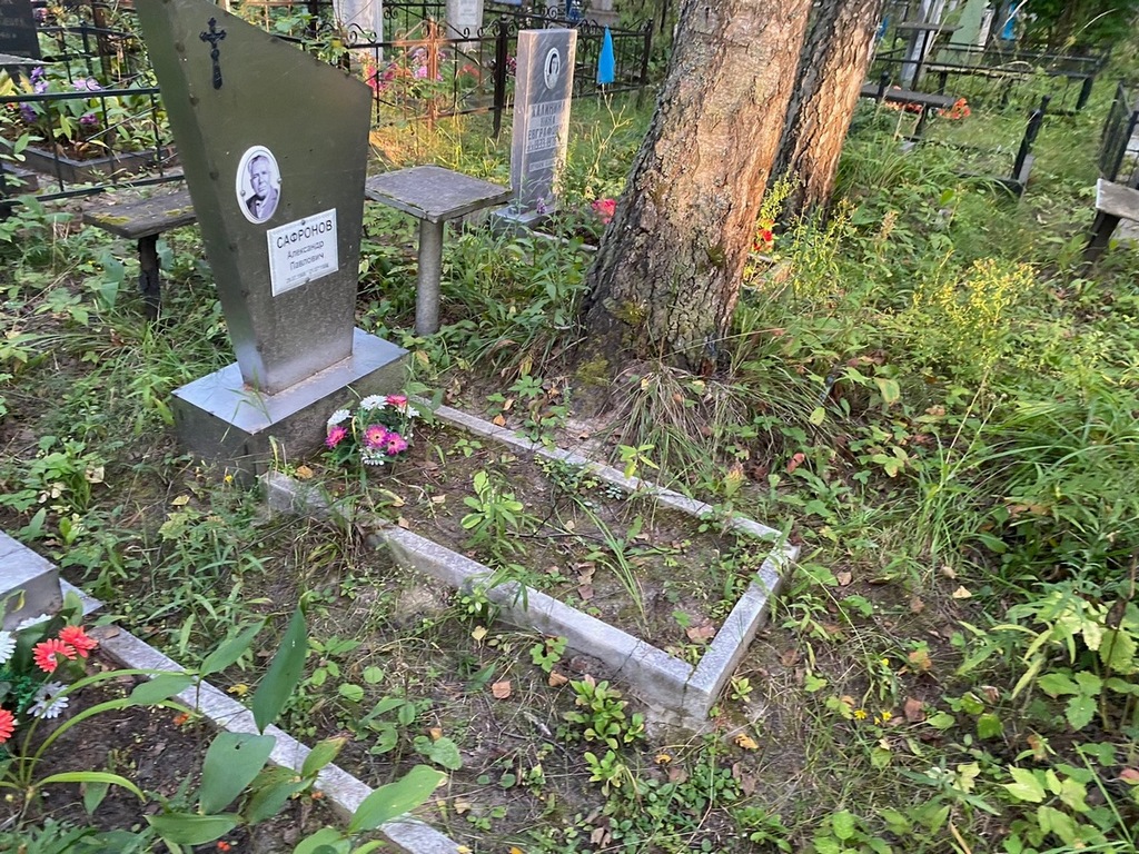 Сафронов Александр Павлович