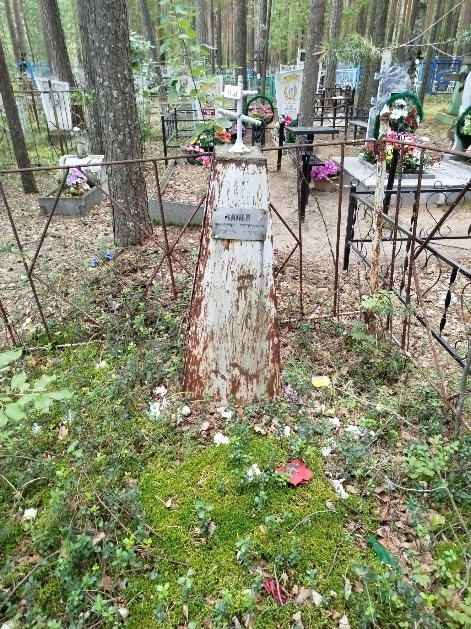 Ханев Владимир Григорьевич